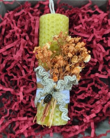 7  β  κερι κυρηθρα (1)